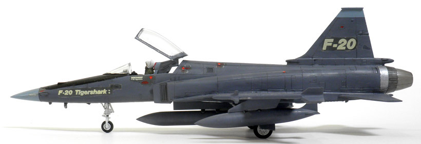 ハセガワ1/72 F-20 TIGERSHARK 他 一式陸上攻撃機 プラモデル